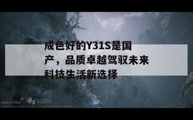 成色好的Y31S是国产，品质卓越驾驭未来科技生活新选择