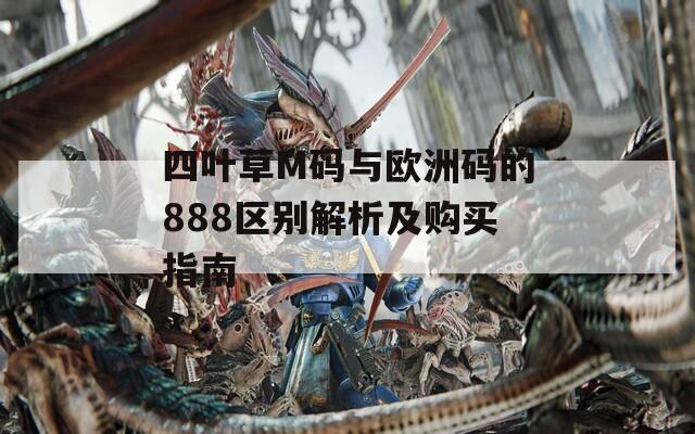 四叶草M码与欧洲码的888区别解析及购买指南