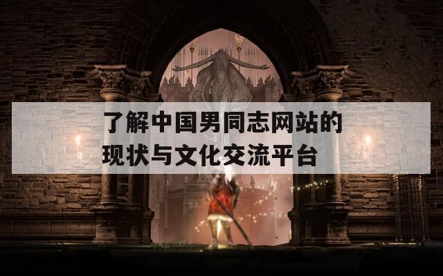 了解中国男同志网站的现状与文化交流平台