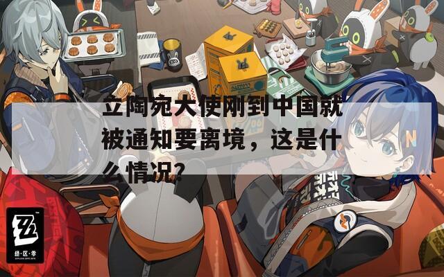 立陶宛大使刚到中国就被通知要离境，这是什么情况？