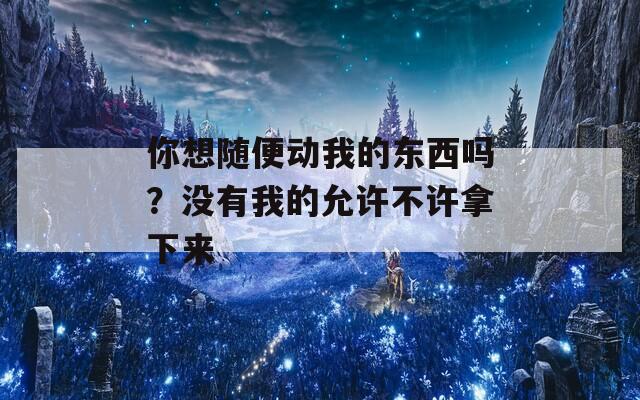 你想随便动我的东西吗？没有我的允许不许拿下来