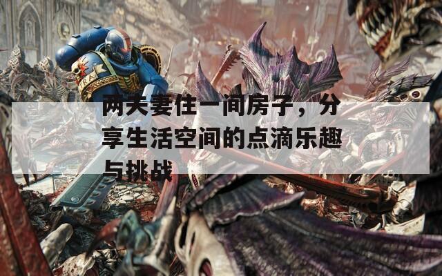两夫妻住一间房子，分享生活空间的点滴乐趣与挑战