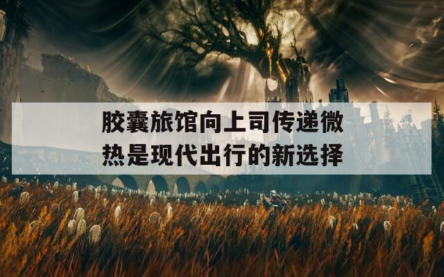 胶囊旅馆向上司传递微热是现代出行的新选择