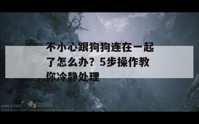 不小心跟狗狗连在一起了怎么办？5步操作教你冷静处理