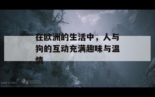 在欧洲的生活中，人与狗的互动充满趣味与温情