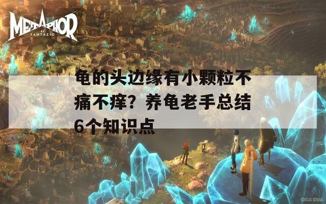 龟的头边缘有小颗粒不痛不痒？养龟老手总结6个知识点