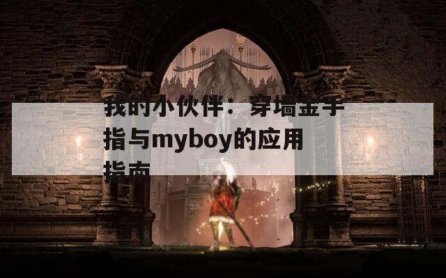 我的小伙伴：穿墙金手指与myboy的应用指南