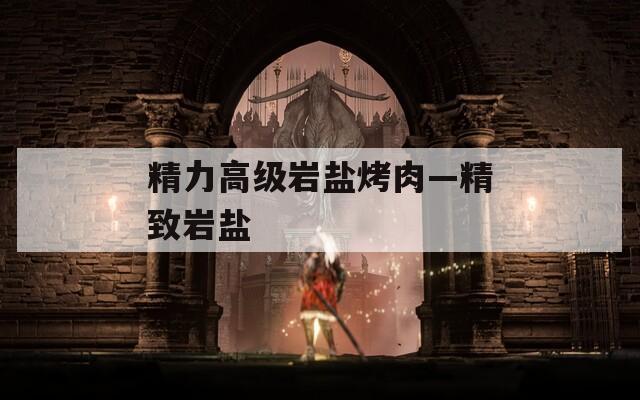 精力高级岩盐烤肉—精致岩盐