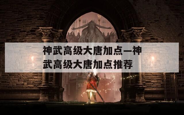 神武高级大唐加点—神武高级大唐加点推荐