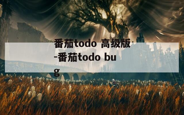 番茄todo 高级版-番茄todo bug